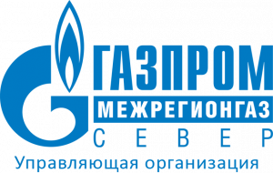 Специалисты ООО «Газпром межрегионгаз Север» пресекли факт кражи газа