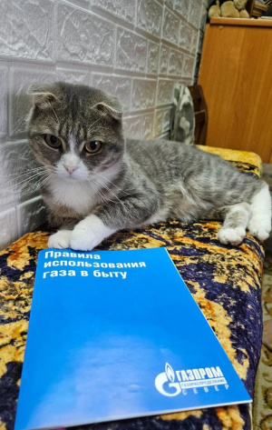 Ежегодное техническое обслуживание газового оборудования —  не формальность, а гарантия вашей безопасности